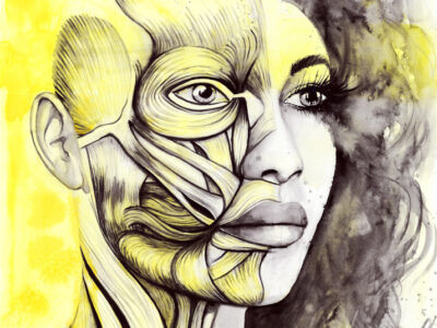 Anatomia twarzy PLAKAT